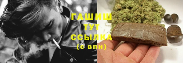 стаф Алзамай