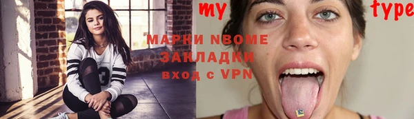 стаф Алзамай