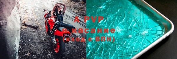 стаф Алзамай