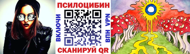 мориарти наркотические препараты  Лесосибирск  Псилоцибиновые грибы мухоморы 