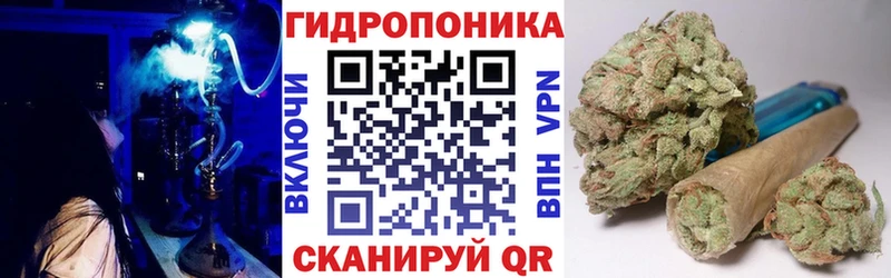 Бошки Шишки White Widow Лесосибирск